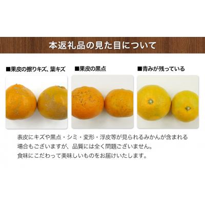 ふるさと納税 玉東町 [日付指定不可]『坂田農園』の訳ありみかん約5kg(2S_2Lサイズ) [10月上旬-1月末頃出荷]
