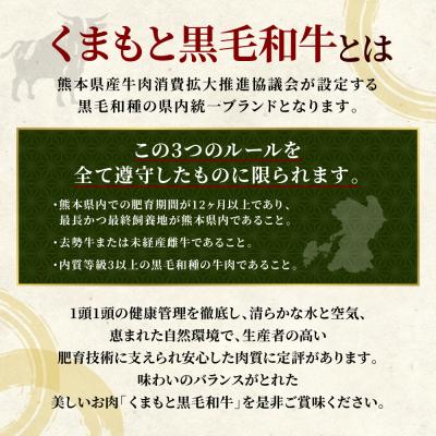 ふるさと納税 八代市 【訳あり】 くまもと黒毛和牛 切り落とし 900g 2026年12月発送_067-6065-12-B |  | 02