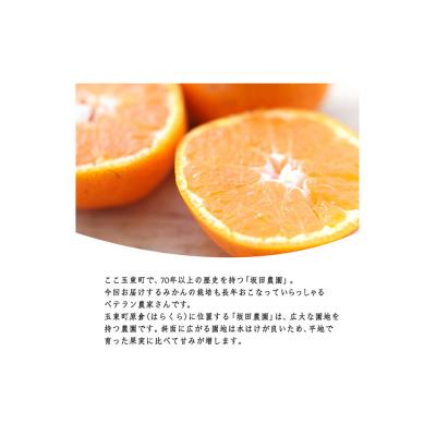 ふるさと納税 玉東町 『坂田農園』の秀品 みかん 約5kg(2S-L サイズ)[日付指定不可][10月上旬‐1月末頃出荷]