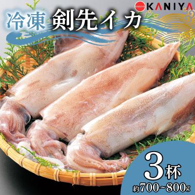 ふるさと納税 下関市 [限定100・寄附額変更中] 剣先イカ 約700~800g 下関 [蟹屋:KNY