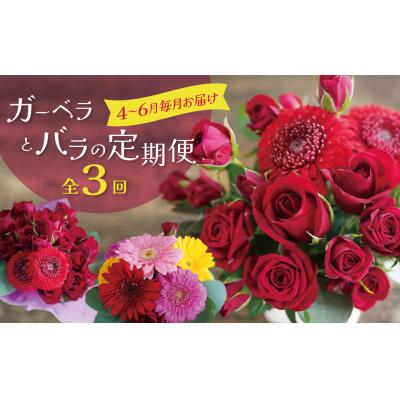 ふるさと納税 碧南市 [全3回]ガーベラとバラの定期便 (4月〜6月に毎月お届け)アレンジメント 贈り物