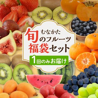 ふるさと納税 宗像市 【7月〜9月発送】むなかた旬のフルーツ福袋セット【JAほたるの里】_AS1541-3S-00 | 