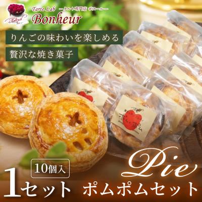 ふるさと納税 鹿児島市 ポムポムセット(10個入り)