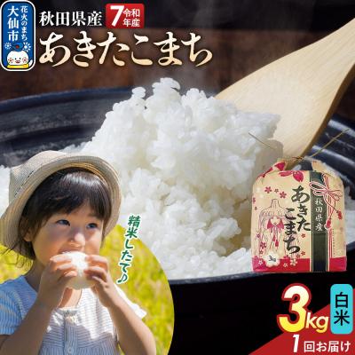 ふるさと納税 大仙市 白米 あきたこまち 3kg 秋田県産 令和7年産 こまちライン|22_kml-010301