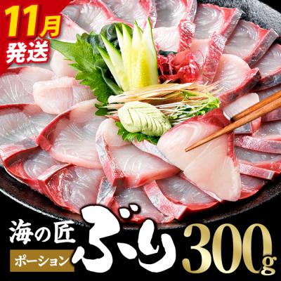 ふるさと納税 佐伯市 <先行予約受付中!2026年11月以降順次発送予定>海の匠 ブリ ポーション (300g)