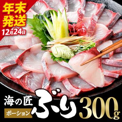 ふるさと納税 佐伯市 ＼2026年12月24日発送!先行予約/海の匠 ブリ ポーション (300g)