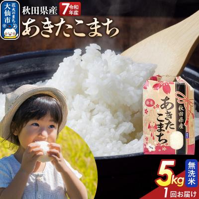 ふるさと納税 大仙市 無洗米 あきたこまち 5kg 秋田県産 令和7年産|22_kml-020501