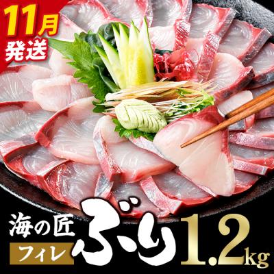 ふるさと納税 佐伯市 <先行予約受付中!2026年11月以降順次発送予定!>海の匠 ブリ フィレ (1.2kg)