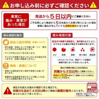 ふるさと納税 愛南町 【先行予約】数量限定 訳あり 土佐文旦 9kg 10000円 みかん 文旦 吉田農園 |  | 02