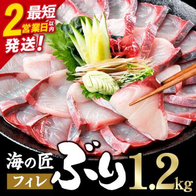 ふるさと納税 佐伯市 ＼2営業日以内発送/海の匠 ブリ フィレ (1.2kg)