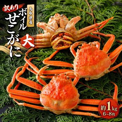 ふるさと納税 境港市 <11月中旬〜12月上旬発送予定>鳥取県産 訳ありボイルせこがに大1kg(6〜8枚)