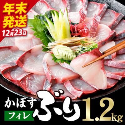 ふるさと納税 佐伯市 ＼2026年12月23日発送!先行予約/かぼす ブリ フィレ (1.2kg)