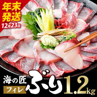 ふるさと納税 佐伯市 ＼2026年12月23日発送!先行予約/海の匠 ブリ フィレ (1.2kg)