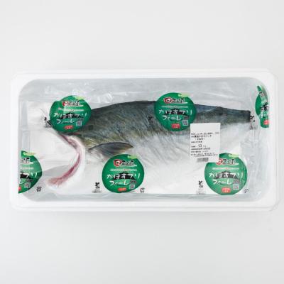 ふるさと納税 佐伯市 ＼2026年12月25日発送!先行予約/かぼす ブリ フィレ (1.2kg) |  | 02