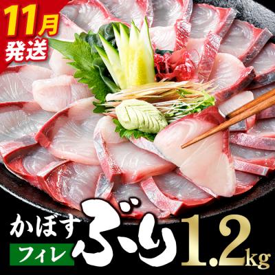 ふるさと納税 佐伯市 <先行予約受付中!2026年11月以降順次発送予定!>かぼす ブリ フィレ (1.2kg)