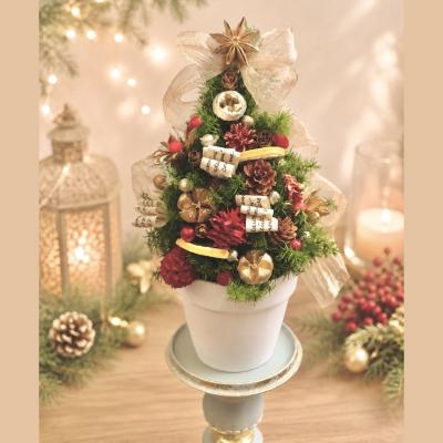 ふるさと納税 小牧市 クリスマスツリーとクリスマスリース セット(レッド) [133O19-01] |  | 01
