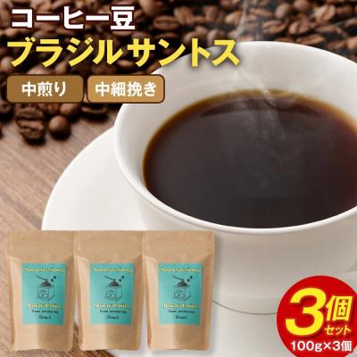 ふるさと納税 幸田町 [粉]コーヒー豆 粉(ブラジル サントス 中煎り 中細挽き)100g × 3個セット 計300g
