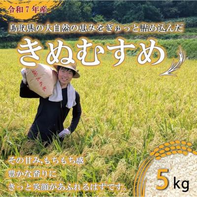 ふるさと納税 境港市 <令和7年産>原田農園の「きぬむすめ」(精米・5kg)