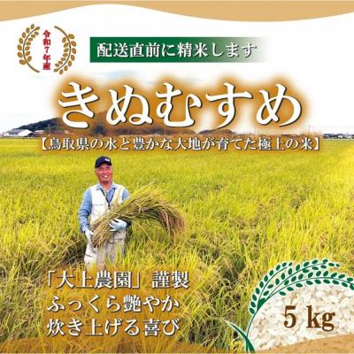 ふるさと納税 境港市 <令和7年産>大上農園のきぬむすめ(精米・5kg)