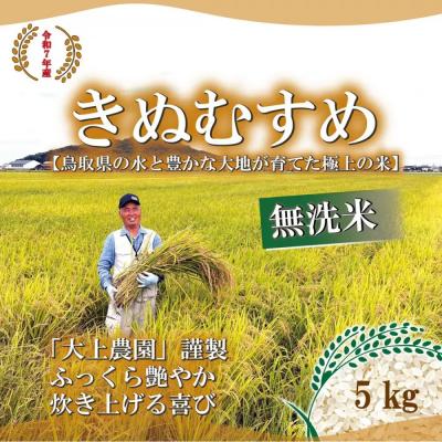 ふるさと納税 境港市 <令和7年産>大上農園のきぬむすめ(無洗米・5kg)