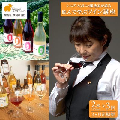 ふるさと納税 境町 [3ヶ月定期便]オンラインワイン講座 ワイン6本付き 赤 白 ギフト 飲み比べ 酒 お酒 Zoom
