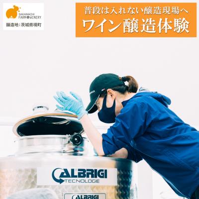 ふるさと納税 境町 ワイン醸造体験 1名様利用券 ワイン1本付き ワイナリー見学 試飲 赤 白 ギフト 酒 お酒 ツアー