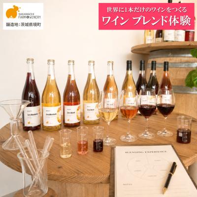 ふるさと納税 境町 オリジナルワインブレンド体験 1名様利用券 ワイン1本付 オリジナルラベル ツアー 酒 お酒 赤 白