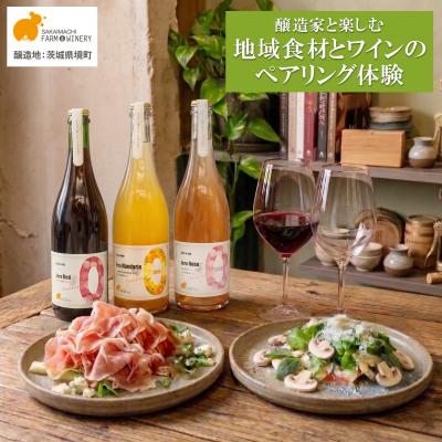 ふるさと納税 境町 ワインペアリング体験 1名様利用券 境町産野菜料理付き 飲み比べ ワイン ツアー 酒 お酒 赤 白
