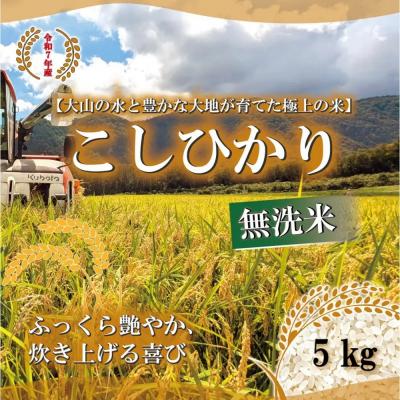 ふるさと納税 境港市 <令和7年産>山崎農園のこしひかり(無洗米・5kg)