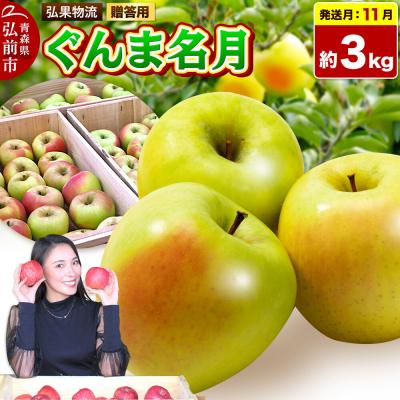 ふるさと納税 弘前市 りんご [26年11月発送]ぐんま名月[贈答用]約3kg 先行受付|24_hkb-220301b