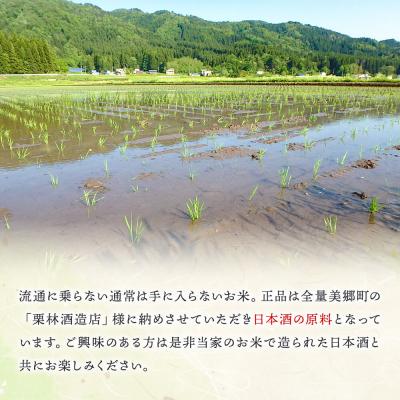 ふるさと納税 美郷町 新米受付 令和8年産 玄米 酒造好適米 美郷錦中粒米 30kg|01_skg-033001 |  | 03