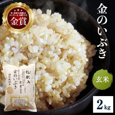 ふるさと納税 湯沢市 [令和8年産]特別栽培米 金のいぶき 玄米 2kg[B2107]
