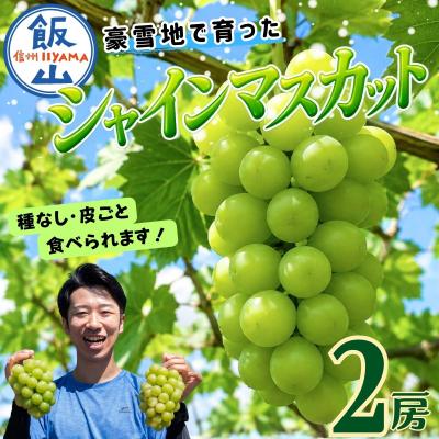 ふるさと納税 飯山市 [先行予約]贈答用 シャインマスカット 2房(約1kg以上)木原果樹園