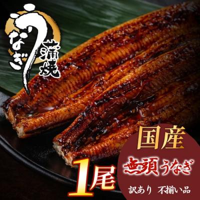 ふるさと納税 新宮町 [不揃い訳あり]うなぎの蒲焼き1尾セット.A1720