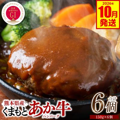 ふるさと納税 八代市 GI認証 くまもとあか牛ハンバーグ 6個 2026年10月発送_229-6705-10