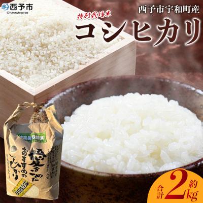ふるさと納税 西予市 <令和7年産 西予市宇和町産 特別栽培米コシヒカリ 約2kg>