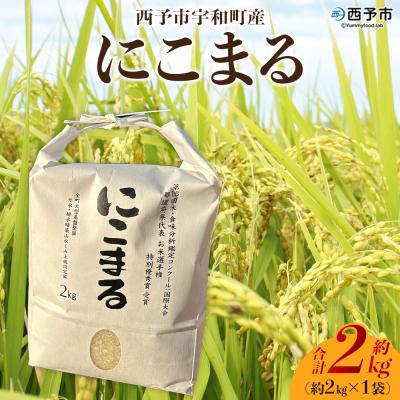 ふるさと納税 西予市 <令和7年産 西予市宇和町産 にこまる 約2kg> お米 コメ 白米 精米