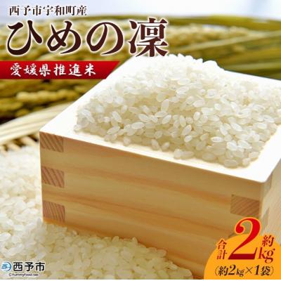 ふるさと納税 西予市 <令和7年産 愛媛県推進米 ひめの凜 約2kg> お米 コメ こめ 白米 精米