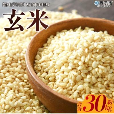 ふるさと納税 西予市 <令和7年産 西予市宇和町産 玄米 30kg> お米 コメ ご飯