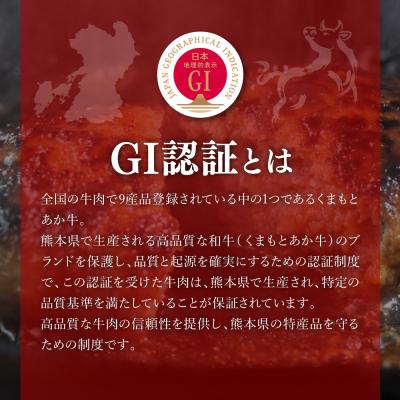 ふるさと納税 八代市 GI認証 くまもとあか牛 ハンバーグ 150g×10個 2026年11月発送_229-6706-11 |  | 02
