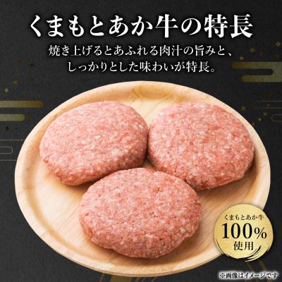 ふるさと納税 八代市 GI認証 くまもとあか牛 ハンバーグ 150g×10個 2026年11月発送_229-6706-11 |  | 03