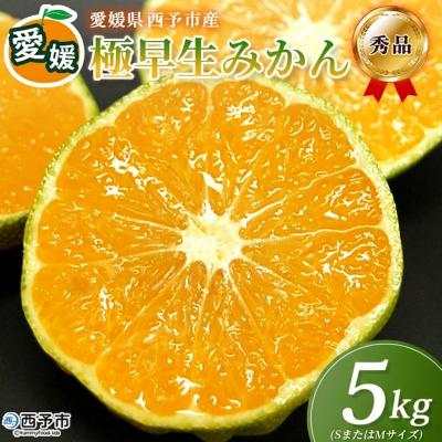 ふるさと納税 西予市 <愛媛産 秀品 極早生みかん(SまたはMサイズ)約5kg> 蜜柑 ミカン みかん 温州みかん