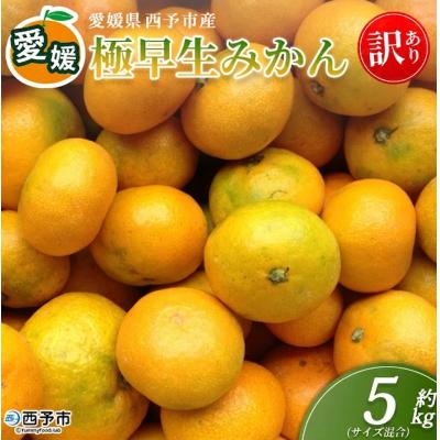ふるさと納税 西予市 <愛媛産 訳あり 極早生みかん(サイズ混合)約5kg >蜜柑 ミカン みかん 訳アリ