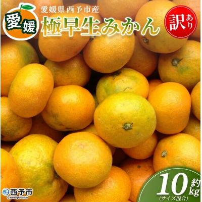ふるさと納税 西予市 <愛媛産 訳あり 極早生みかん(サイズ混合)約10kg蜜柑 ミカン みかん 訳アリ