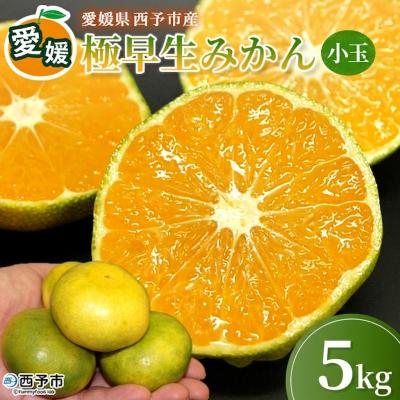 ふるさと納税 西予市 <愛媛産 小玉 極早生みかん(2S〜3Sサイズ混合)約5kg 蜜柑 ミカン みかん 温州みかん