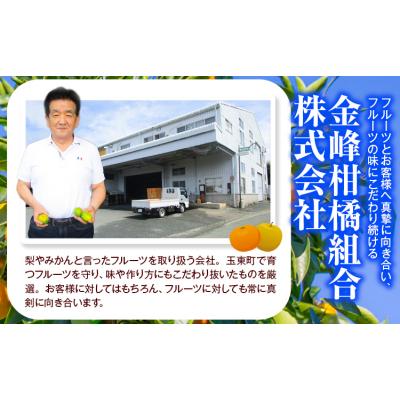ふるさと納税 玉東町 みかん 約5kg (2S-2Lサイズ) 金峰柑橘組合株式会社 [10月中旬-1月中旬頃出荷]