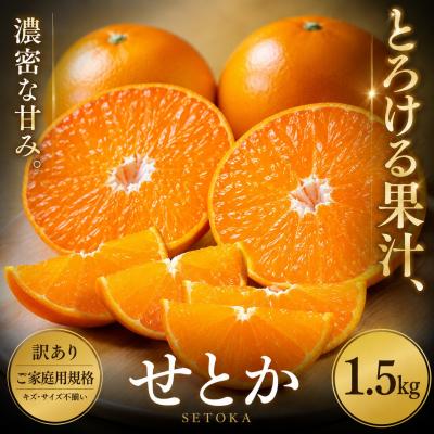 ふるさと納税 西予市 <訳あり 愛媛県産せとか 合計約1.5kg>セトカ とろける 甘い ご家庭用 果汁 果物 くだもの