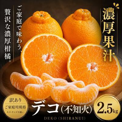 ふるさと納税 西予市 <訳あり 愛媛県産デコ 合計約2.5kg>でこぽん 不知火 しらぬい 甘い ご家庭用