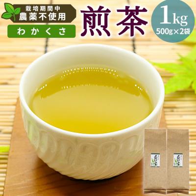 ふるさと納税 東白川村 栽培期間中 農薬不使用! 煎茶 わかくさ 1kg (500g×2袋) 常磐園 日本茶 緑茶 煎茶 | 