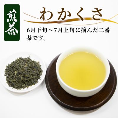 ふるさと納税 東白川村 栽培期間中 農薬不使用! 煎茶 わかくさ 1kg (500g×2袋) 常磐園 日本茶 緑茶 煎茶 |  | 01
